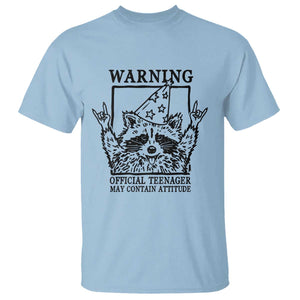 Vintage Raccoon 13th Birthday T Shirt 13 Year Old Official Teenager Gifts TS10 Light Blue Print Your Wear