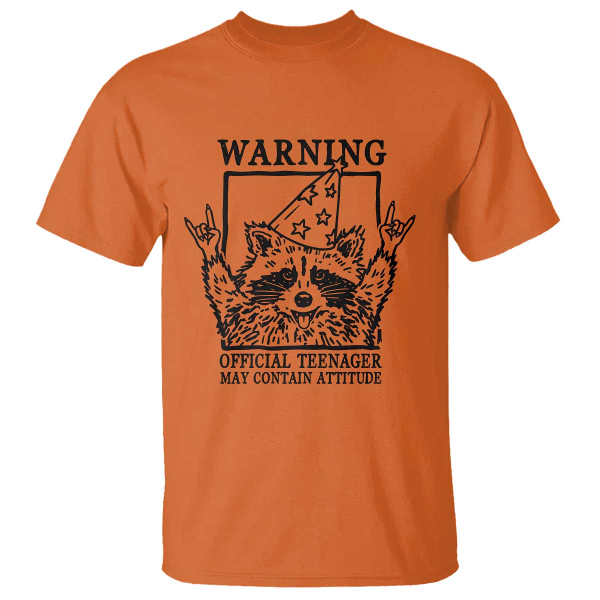 Vintage Raccoon 13th Birthday T Shirt 13 Year Old Official Teenager Gifts TS10 Orange Print Your Wear