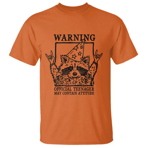Vintage Raccoon 13th Birthday T Shirt 13 Year Old Official Teenager Gifts TS10 Orange Print Your Wear