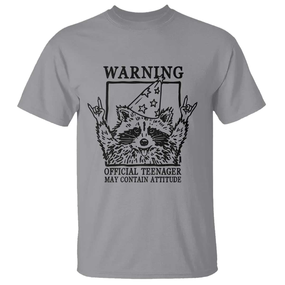 Vintage Raccoon 13th Birthday T Shirt 13 Year Old Official Teenager Gifts TS10 Sport Gray Print Your Wear