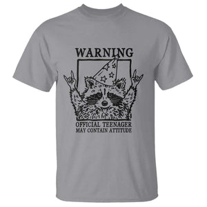 Vintage Raccoon 13th Birthday T Shirt 13 Year Old Official Teenager Gifts TS10 Sport Gray Print Your Wear