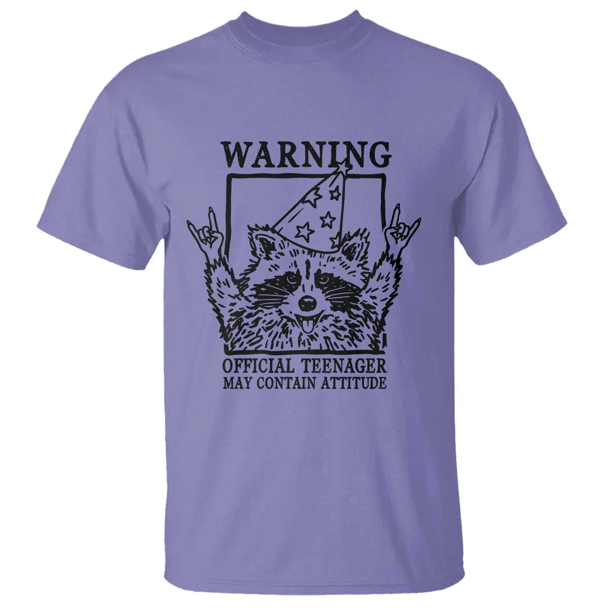 Vintage Raccoon 13th Birthday T Shirt 13 Year Old Official Teenager Gifts TS10 Violet Print Your Wear