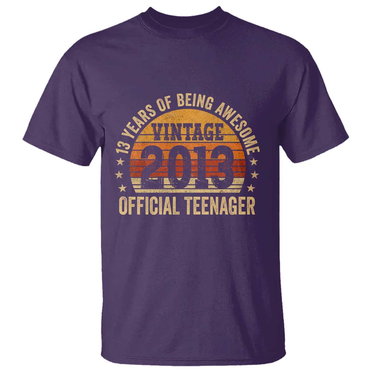 Vintage 2013 Official Teenager T Shirt 13 Year Old 13th Birthday TS10 Purple Print Your Wear