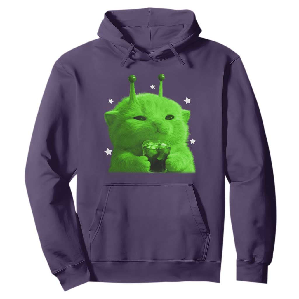 Funny Alien Cat Meme Hoodie Funny Kitten 90s Retro Vintage Graphic Weird Cats Y2k TS10 Purple Print Your Wear