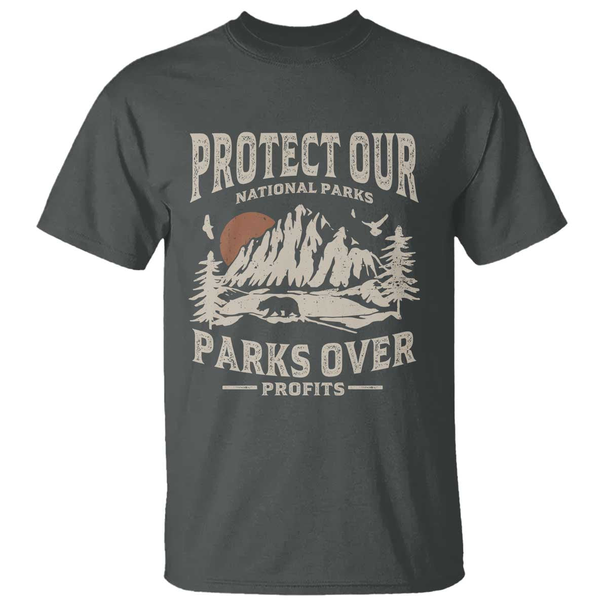 Protect Our National Parks T Shirt Camping Hiking TS10 Dark Heather Print Your Wear