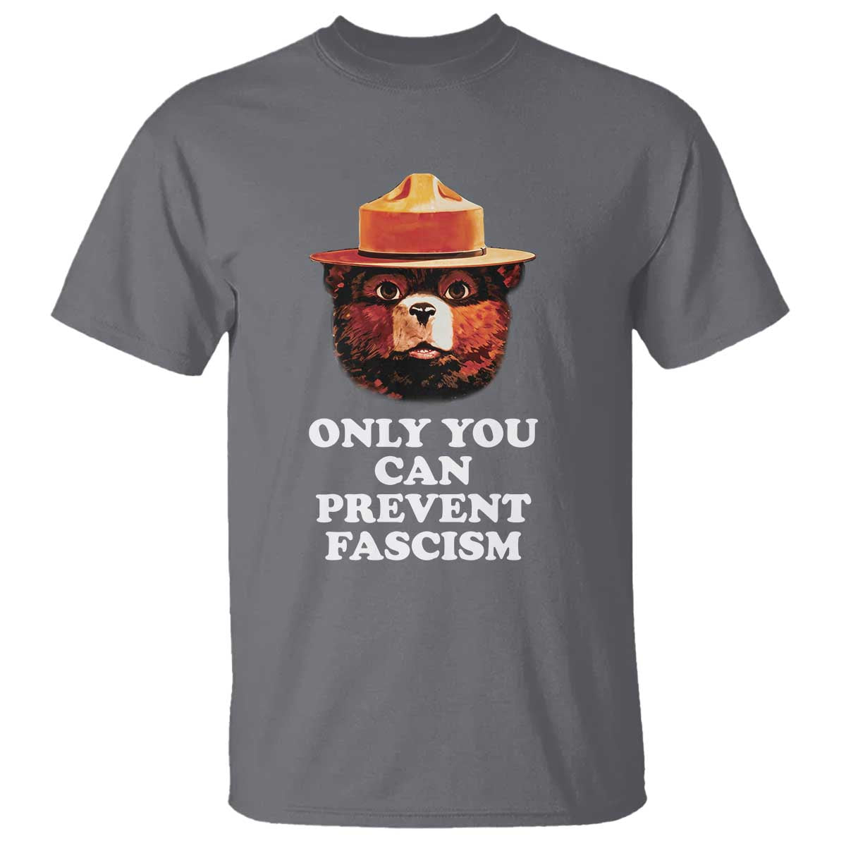 Protect Our National Parks T Shirt NPS Bear TS10 Charcoal Print Your Wear
