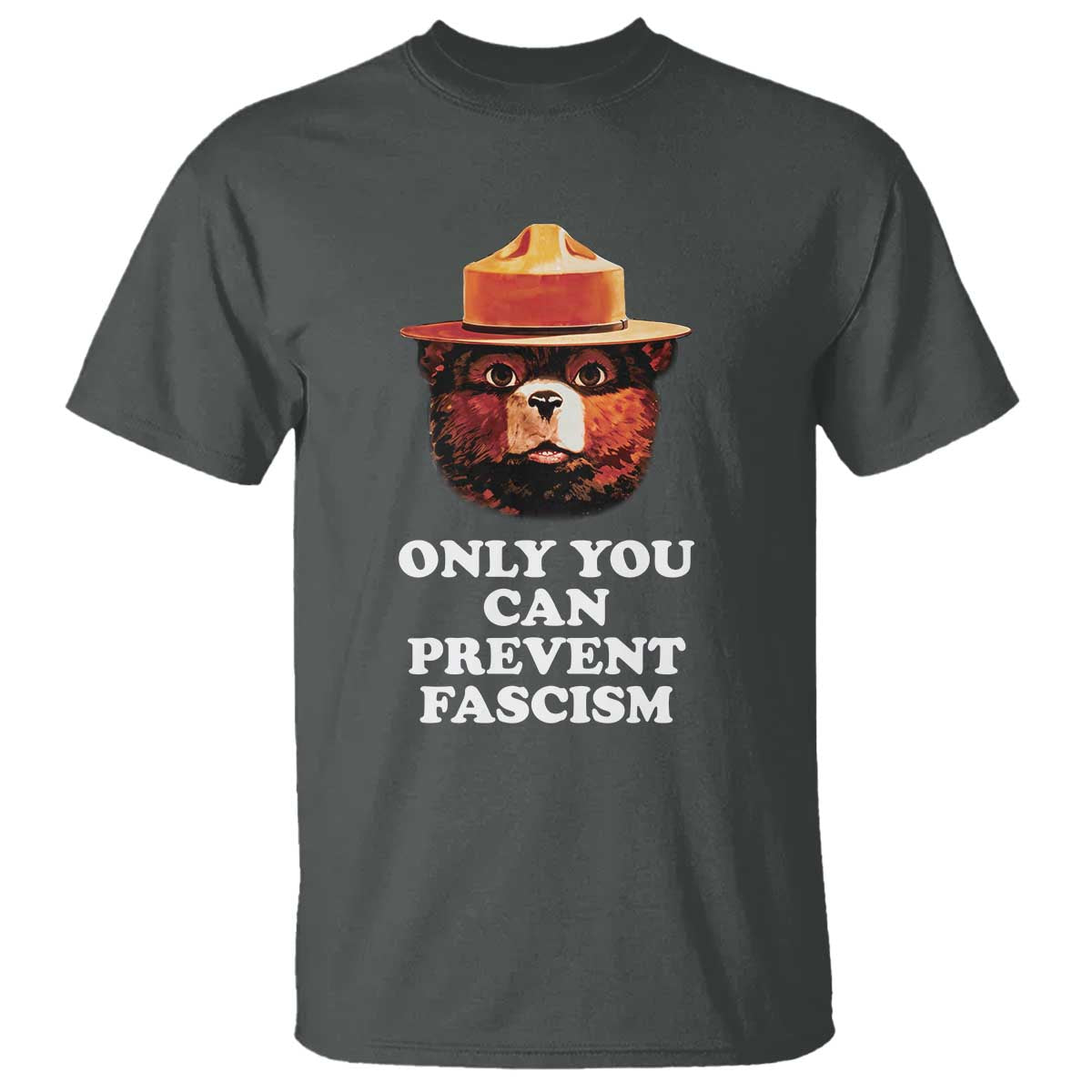 Protect Our National Parks T Shirt NPS Bear TS10 Dark Heather Print Your Wear