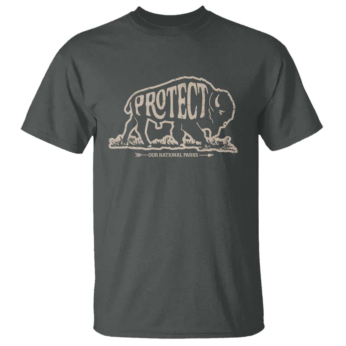 Protect Our National Parks T Shirt Bison Buffalo Vintage TS10 Dark Heather Print Your Wear