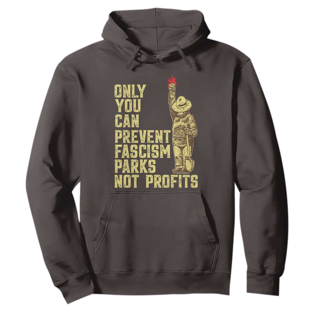 Protect Our National Parks Hoodie Bear Progressive Funny Gift TS10 Dark Chocolate Print Your Wear