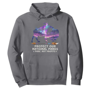 Protect Our National Parks Hoodie Bison Forest Starscape Aurora TS10 Charcoal Print Your Wear