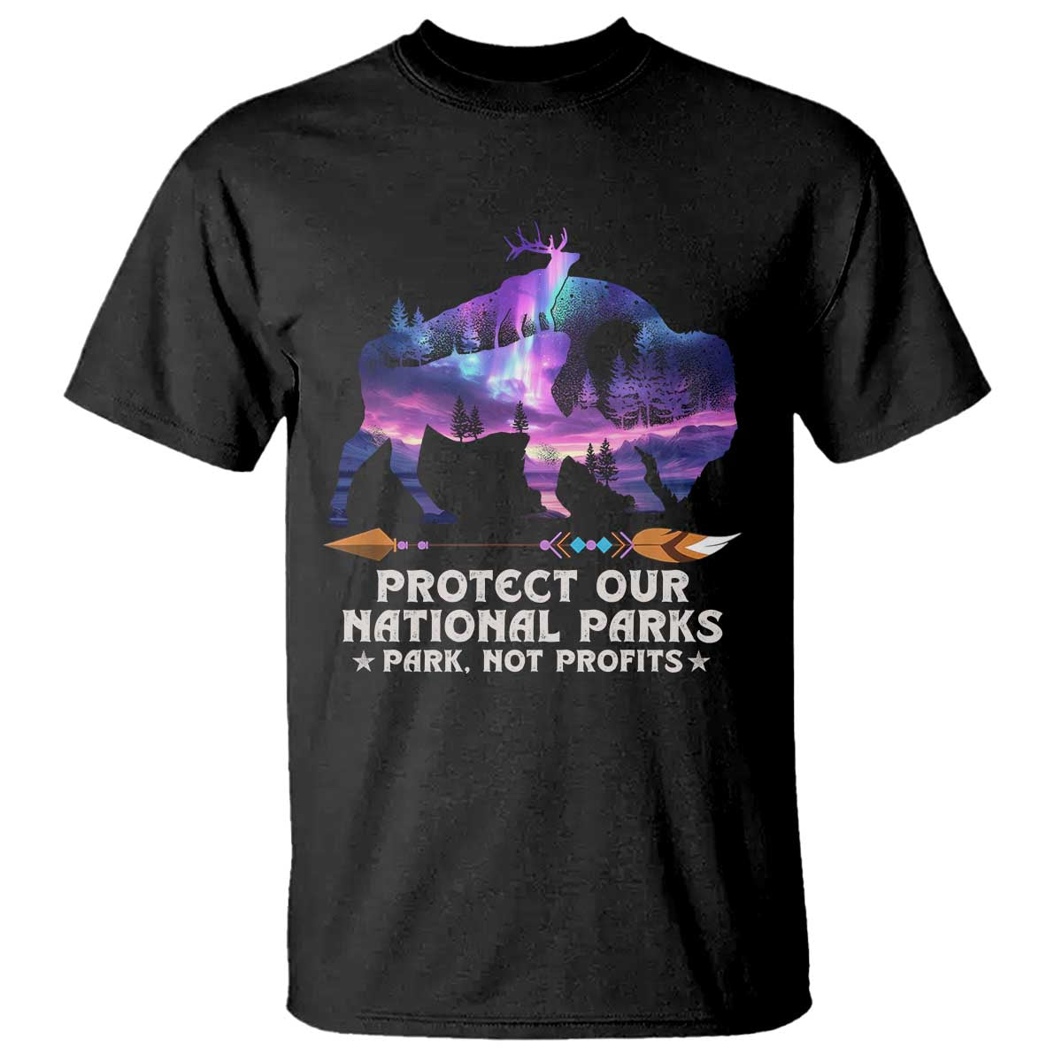 Protect Our National Parks T Shirt Bison Forest Starscape Aurora TS10 Black Print Your Wear