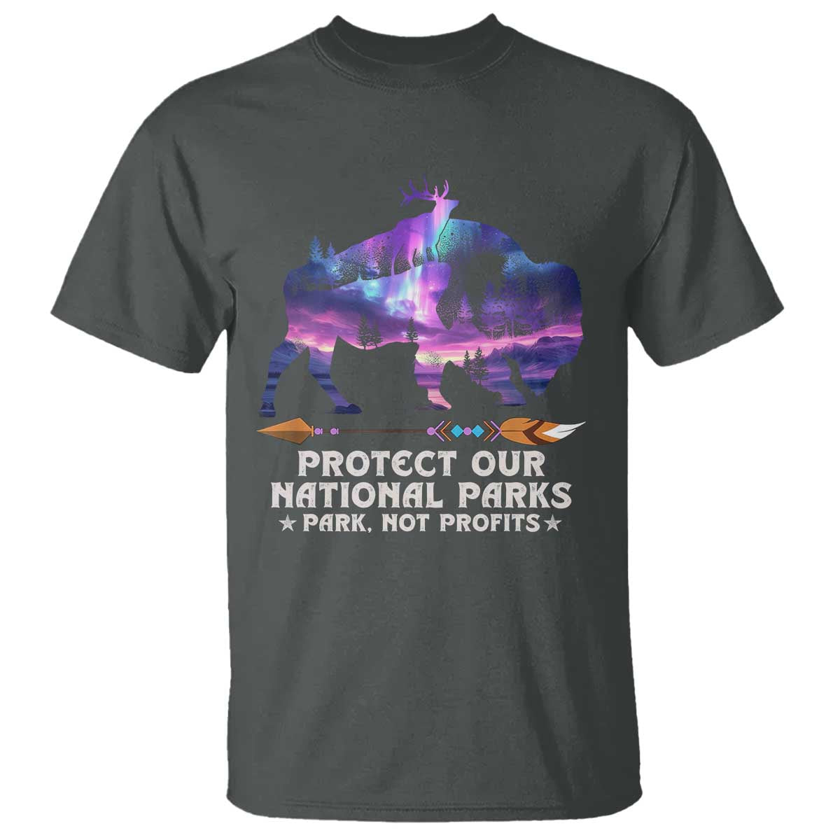 Protect Our National Parks T Shirt Bison Forest Starscape Aurora TS10 Dark Heather Print Your Wear