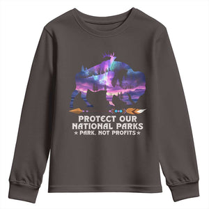 Protect Our National Parks Youth Sweatshirt Bison Forest Starscape Aurora TS10 Dark Chocolate Print Your Wear