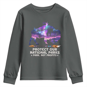 Protect Our National Parks Youth Sweatshirt Bison Forest Starscape Aurora TS10 Dark Heather Print Your Wear
