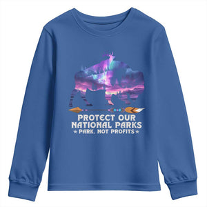 Protect Our National Parks Youth Sweatshirt Bison Forest Starscape Aurora TS10 Royal Blue Print Your Wear