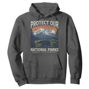 Protect Our National Parks Hoodie Vintage NPS Bear Mountains TS10 Dark Heather Print Your Wear
