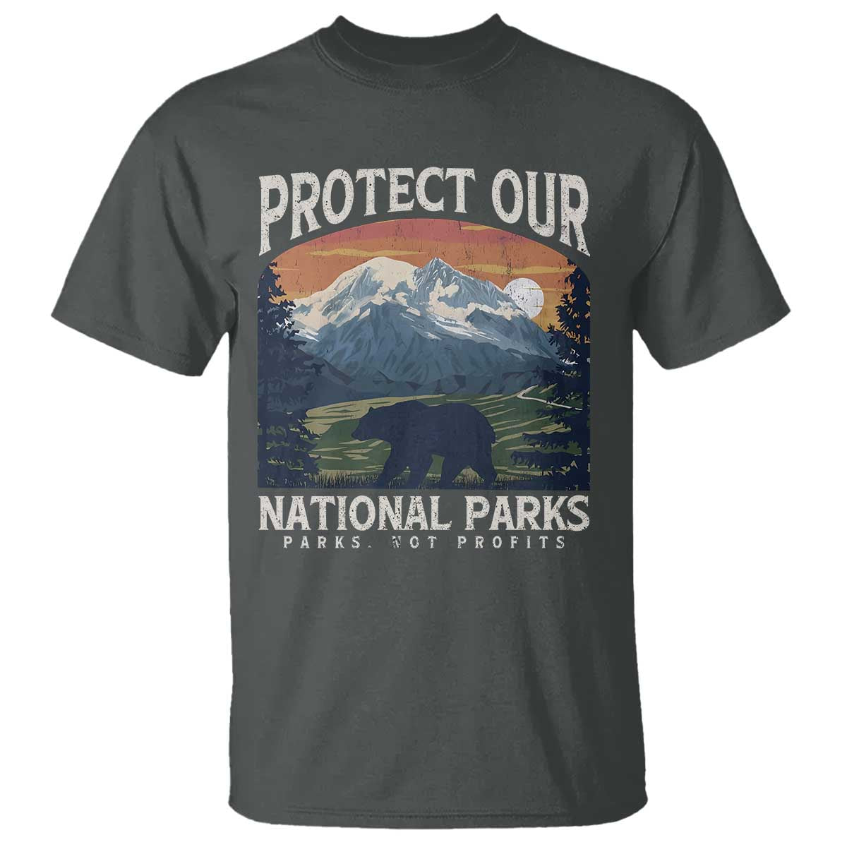 Protect Our National Parks T Shirt Vintage NPS Bear Mountains TS10 Dark Heather Print Your Wear