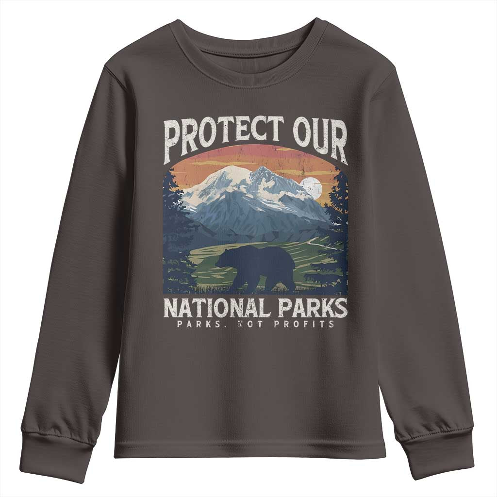 Protect Our National Parks Youth Sweatshirt Vintage NPS Bear Mountains TS10 Dark Chocolate Print Your Wear