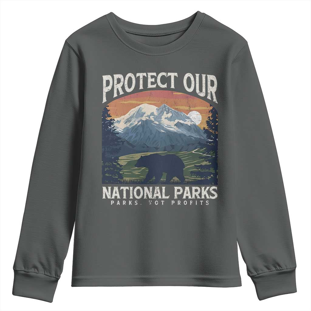 Protect Our National Parks Youth Sweatshirt Vintage NPS Bear Mountains TS10 Dark Heather Print Your Wear