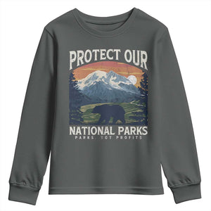 Protect Our National Parks Youth Sweatshirt Vintage NPS Bear Mountains TS10 Dark Heather Print Your Wear
