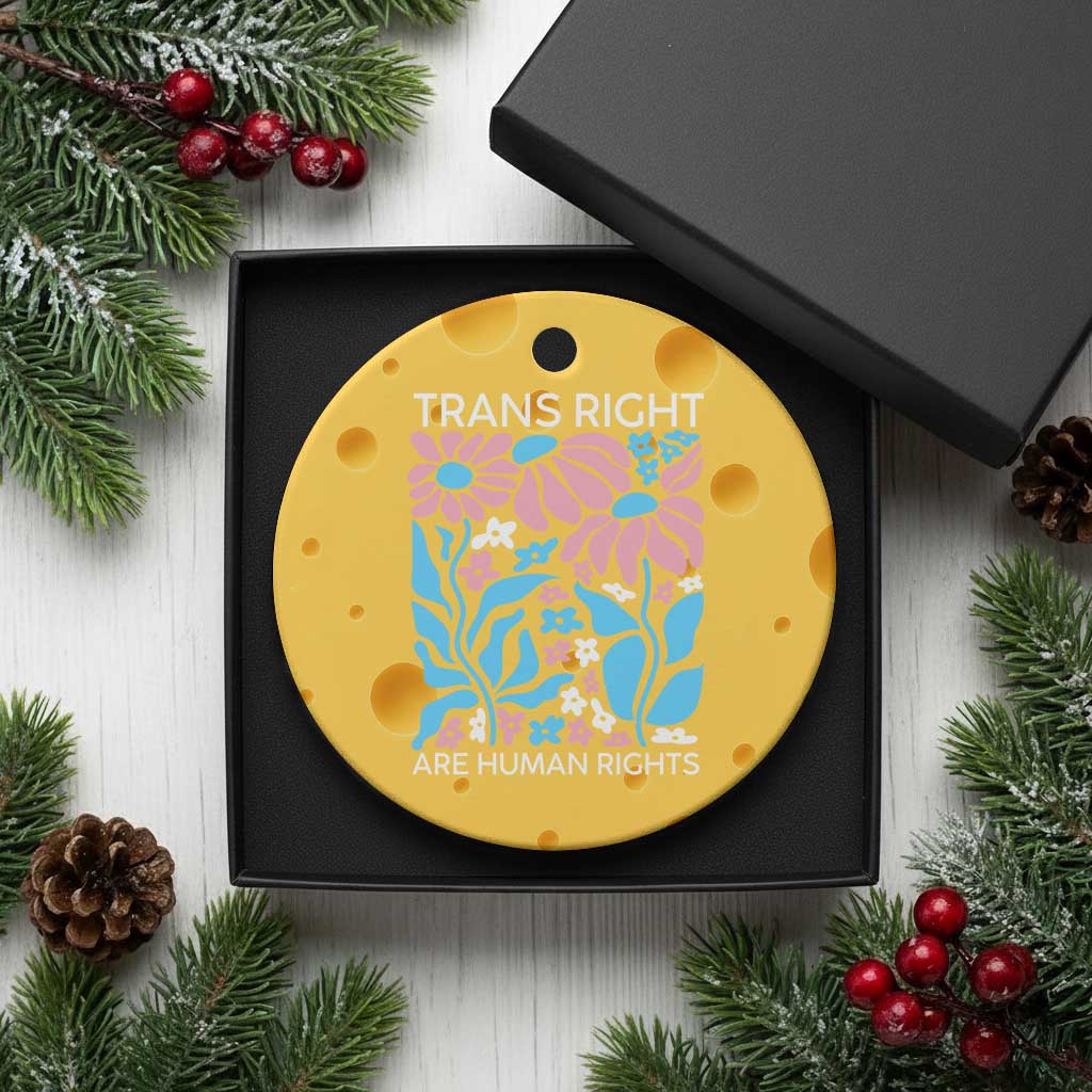 Trans Rights Ceramic Ornament Protect Trans Social Justice LGBT TS10 1pc Yellow Cheese Print Your Wear