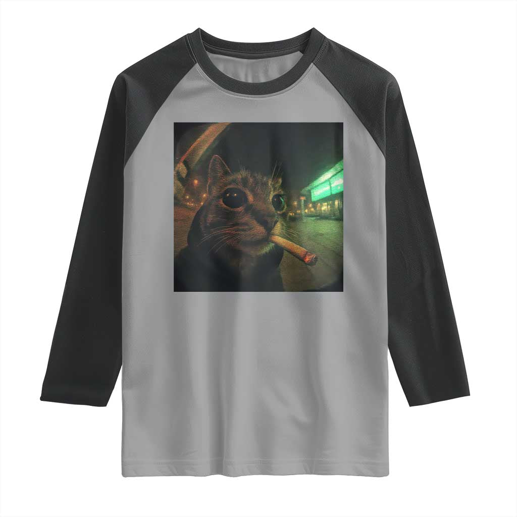 Funny Smoking Cat Raglan Shirt Retro 90s Grunge Cat Selfie Streetwear Meme TS10 Sport Gray Black Print Your Wear