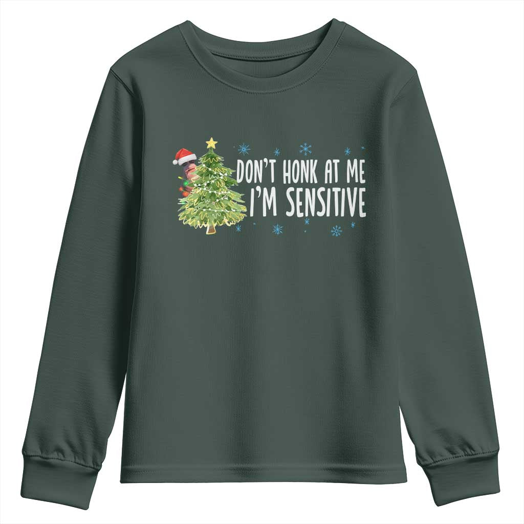 Christmas Marcus The Worm Youth Sweatshirt Dont Honk At Me Im Sensitive Funny Brainrot Meme TS10 Dark Forest Green Print Your Wear
