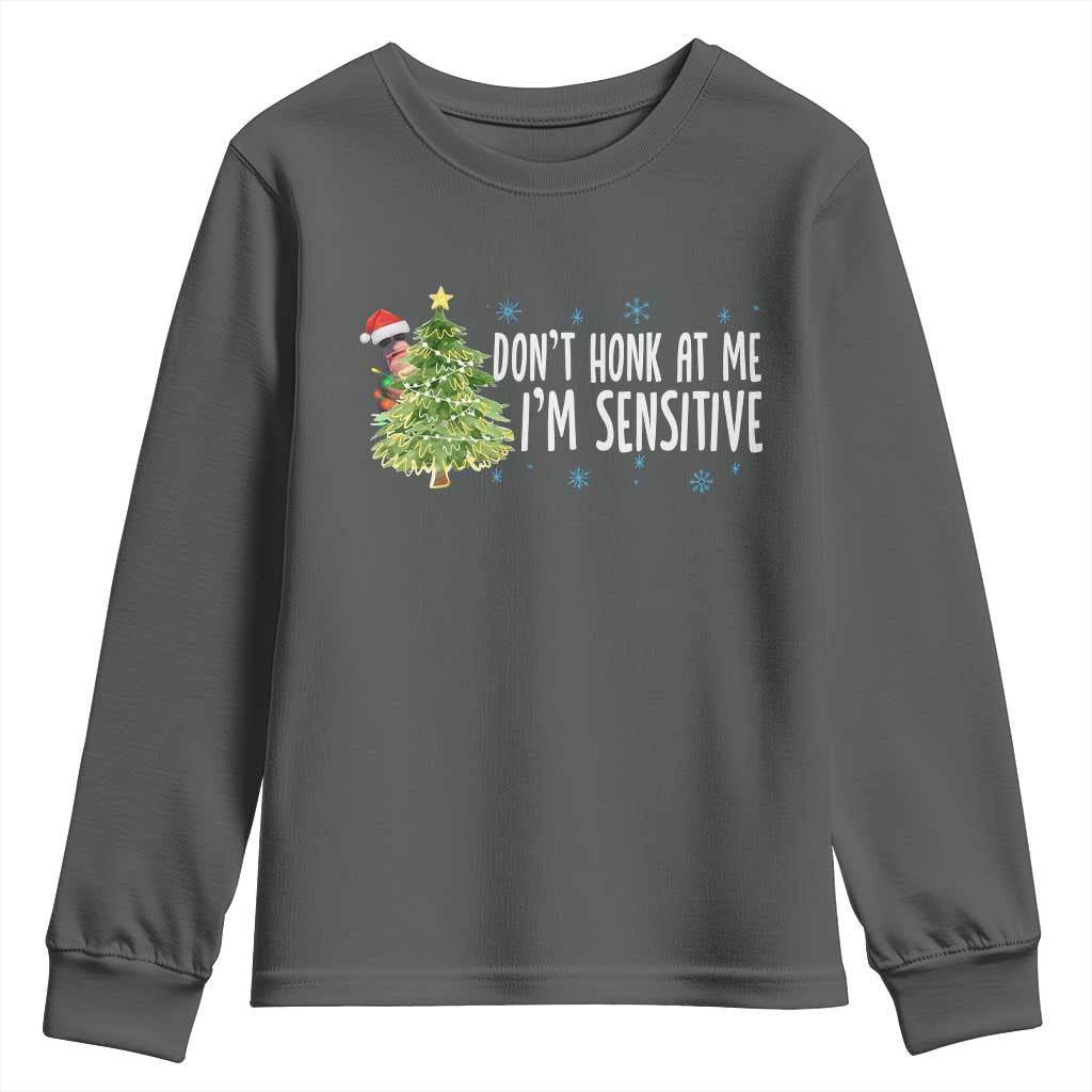 Christmas Marcus The Worm Youth Sweatshirt Dont Honk At Me Im Sensitive Funny Brainrot Meme TS10 Dark Heather Print Your Wear