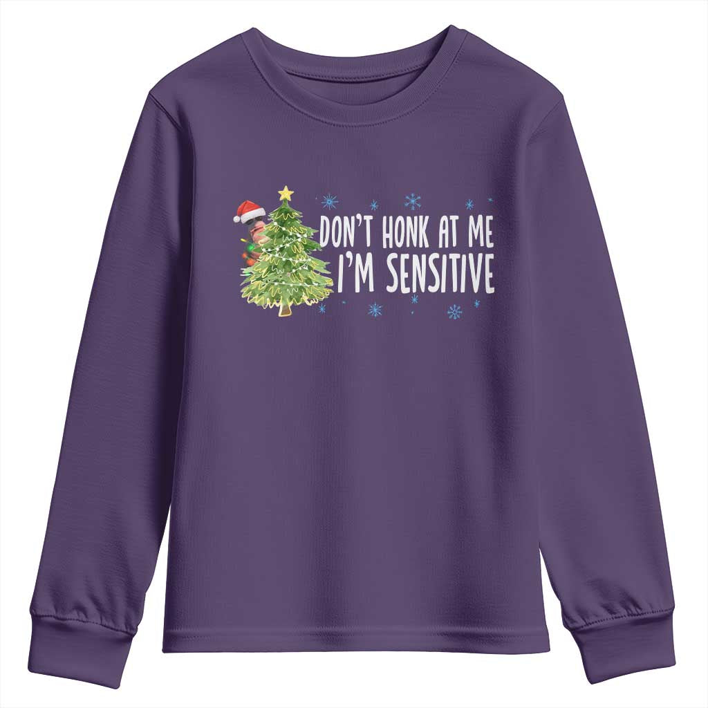 Christmas Marcus The Worm Youth Sweatshirt Dont Honk At Me Im Sensitive Funny Brainrot Meme TS10 Purple Print Your Wear