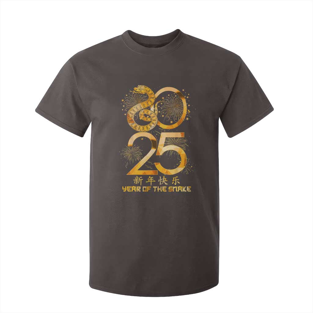 Lunar New Year 2025 T Shirt For Kid Chinese Year Of The Snake TS10 Dark Chocolate Print Your Wear