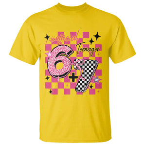 Funny 13th Birthday Official Teenager T Shirt 6+7 13 Year Old Kids Girls Pink Checkered 67 Meme TS10 Daisy Print Your Wear