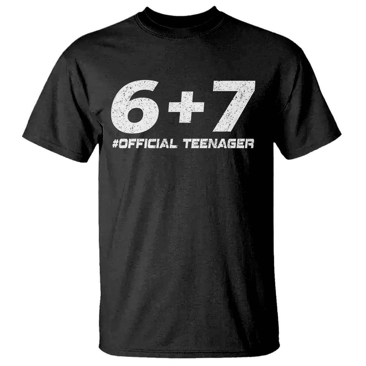 Funny 13th Birthday Official Teenager T Shirt 13 Years Old Boys Kids TS10 Black Print Your Wear