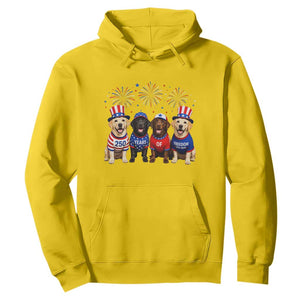 Labrador Retriever Americas 250th Anniversary Hoodie 4th July US 250 Years Of Freedom Dog Lovers 1776 2026