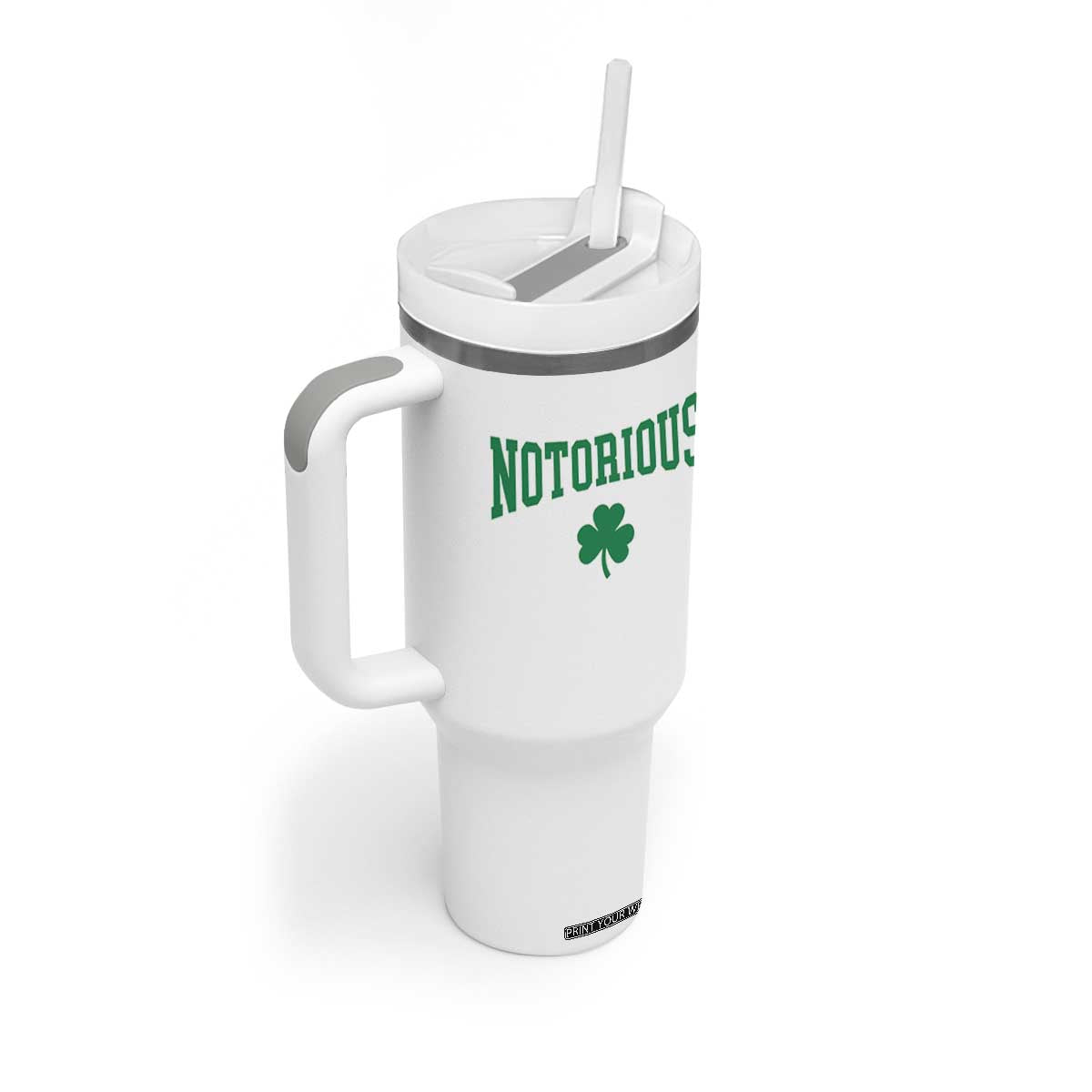 Irish Pride Boxing Fighting Notorious Tumbler With Handle Retro Shamrock Varsity Irish Lucky Clover Graphic TS10 Print Your Wear