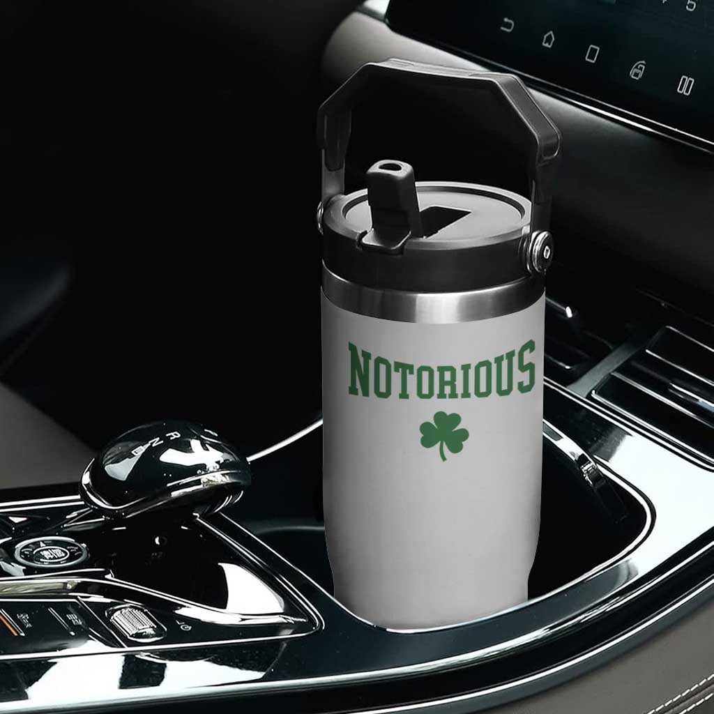Irish Pride Boxing Fighting Notorious Flip Straw Tumbler Retro Shamrock Varsity Irish Lucky Clover Graphic TS10 Print Your Wear