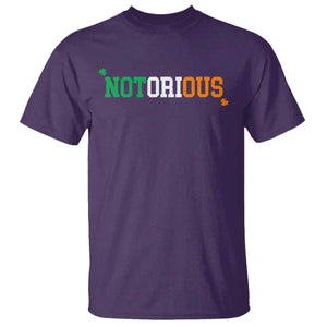 Irish Pride Boxing Fighting Notorious T Shirt Irish Flag Lucky Shamrock Graphic TS10 Print Your Wear