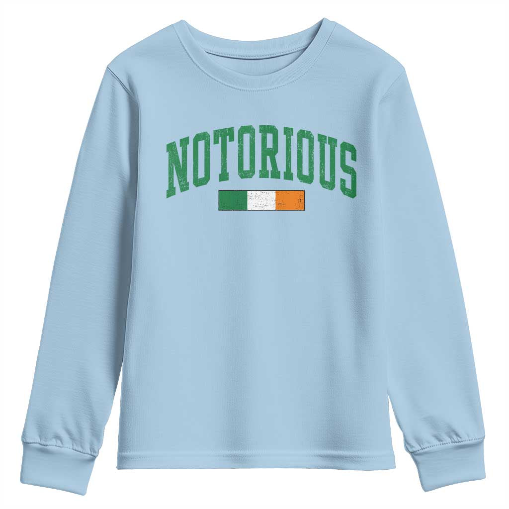 Vintage Irish Flag Notorious Youth Sweatshirt Boxing Fans TS10 Light Blue Print Your Wear