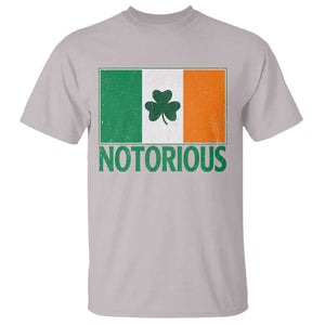 Irish Pride Boxing Fighting Notorious T Shirt Vintage Ireland Flag Irish Retro Throwback TS10 Ice Gray Print Your Wear