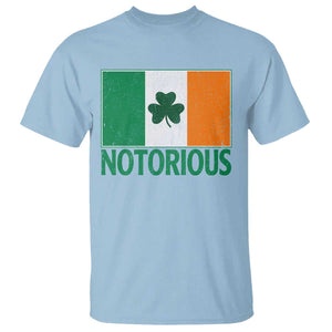 Irish Pride Boxing Fighting Notorious T Shirt Vintage Ireland Flag Irish Retro Throwback TS10 Light Blue Print Your Wear