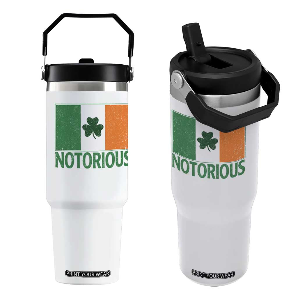 Irish Pride Boxing Fighting Notorious Flip Straw Tumbler Vintage Ireland Flag Irish Retro Throwback TS10 One Size: 30 oz White Print Your Wear