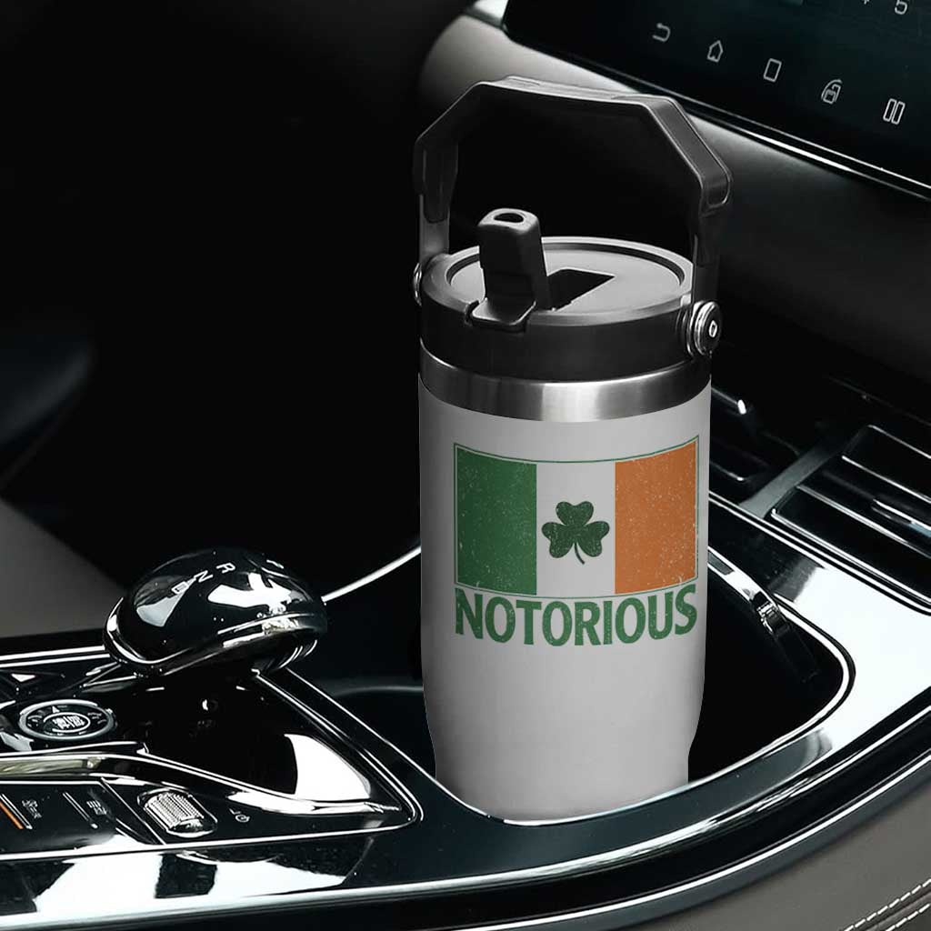Irish Pride Boxing Fighting Notorious Flip Straw Tumbler Vintage Ireland Flag Irish Retro Throwback TS10 Print Your Wear