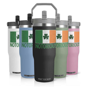 Irish Pride Boxing Fighting Notorious Flip Straw Tumbler Vintage Ireland Flag Irish Retro Throwback TS10 Print Your Wear