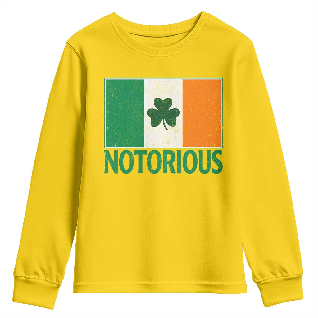 Irish Pride Boxing Fighting Notorious Youth Sweatshirt Vintage Ireland Flag Irish Retro Throwback TS10 Daisy Print Your Wear