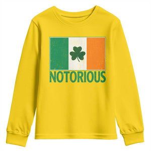 Irish Pride Boxing Fighting Notorious Youth Sweatshirt Vintage Ireland Flag Irish Retro Throwback TS10 Daisy Print Your Wear