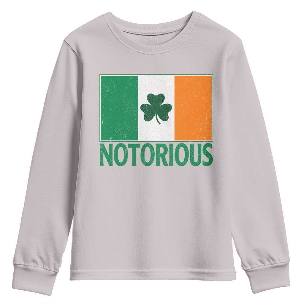Irish Pride Boxing Fighting Notorious Youth Sweatshirt Vintage Ireland Flag Irish Retro Throwback TS10 Ice Gray Print Your Wear