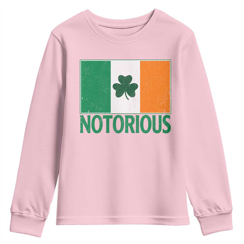 Irish Pride Boxing Fighting Notorious Youth Sweatshirt Vintage Ireland Flag Irish Retro Throwback TS10 Light Pink Print Your Wear
