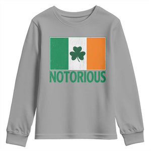 Irish Pride Boxing Fighting Notorious Youth Sweatshirt Vintage Ireland Flag Irish Retro Throwback TS10 Sport Gray Print Your Wear