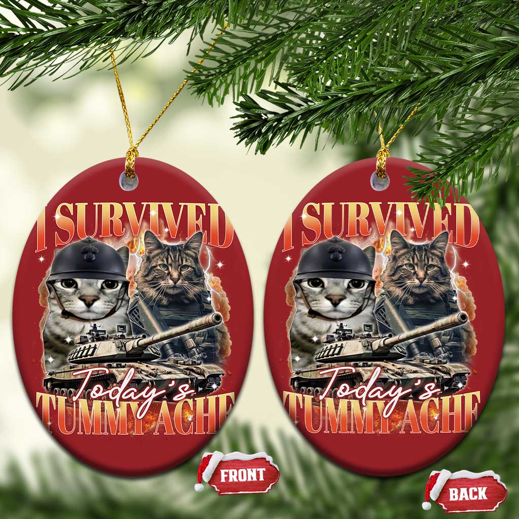 Tummy Ache Survivor Cat Meme Christmas Ornament Funny Saying Cats Bootleg TS10 Oval Red Print Your Wear