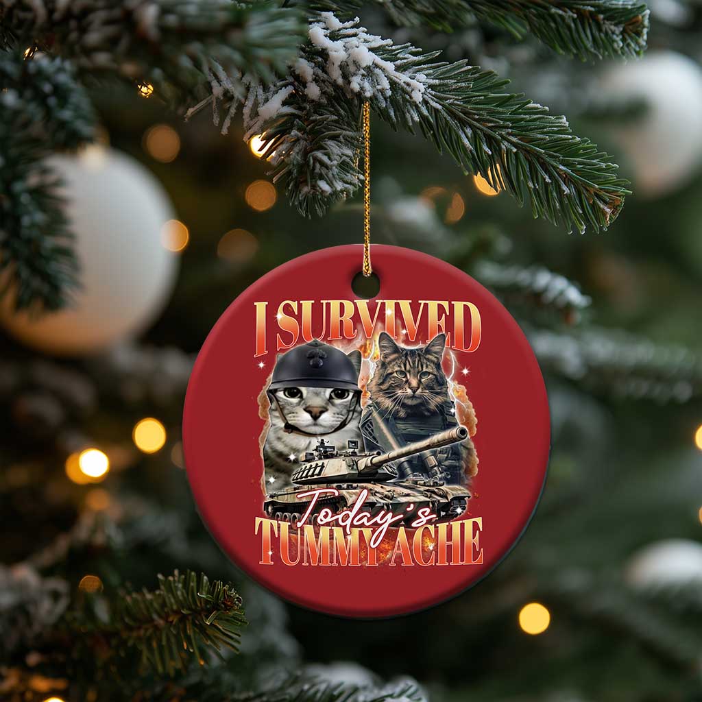 Tummy Ache Survivor Cat Meme Christmas Ornament Funny Saying Cats Bootleg TS10 Print Your Wear
