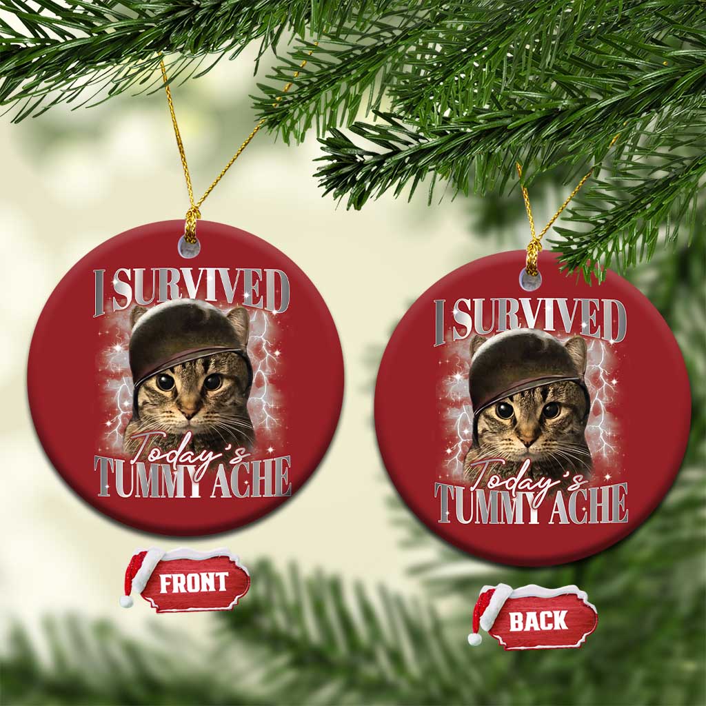 Tummy Ache Survivor Cat Meme Christmas Ornament Funny Saying Cats Cat Bootleg TS10 Circle Red Print Your Wear